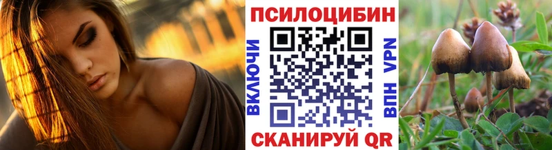 Псилоцибиновые грибы прущие грибы  MEGA зеркало  Черняховск 
